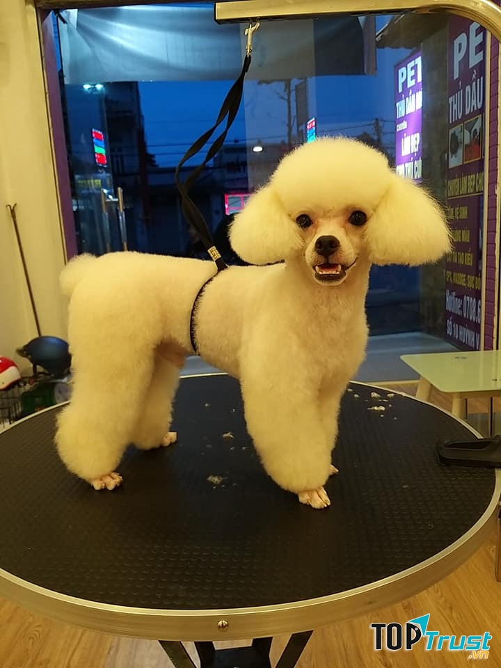 Đủ duyên dáng chưa