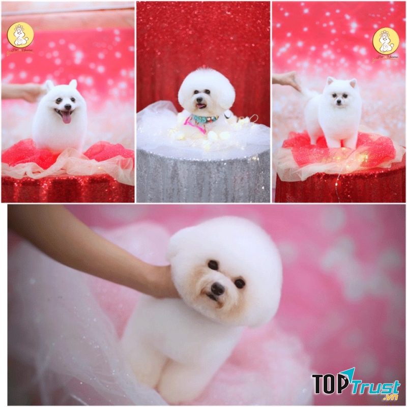 Pet Universe - Spa & Pet Shop