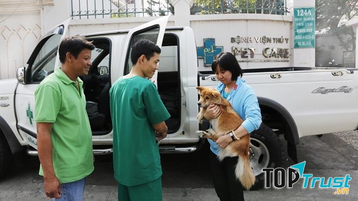 Thú cưng được chăm sóc tại Petcare An Việt