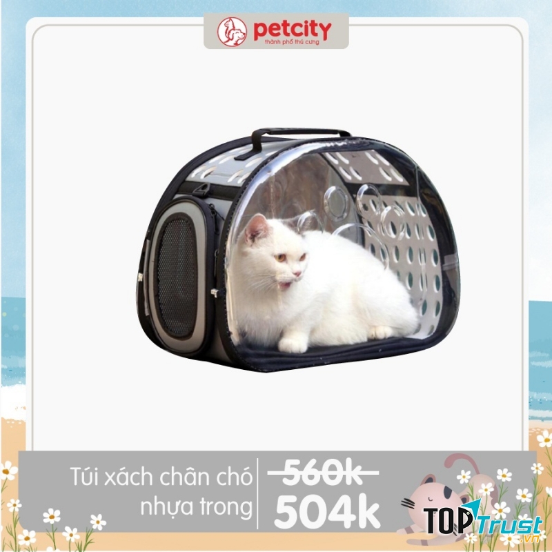 Túi xách nhặ trong