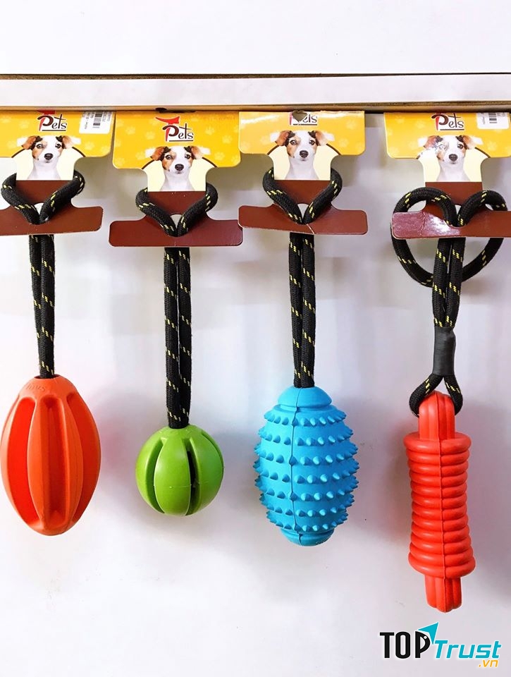 Phụ kiện tại Petcity