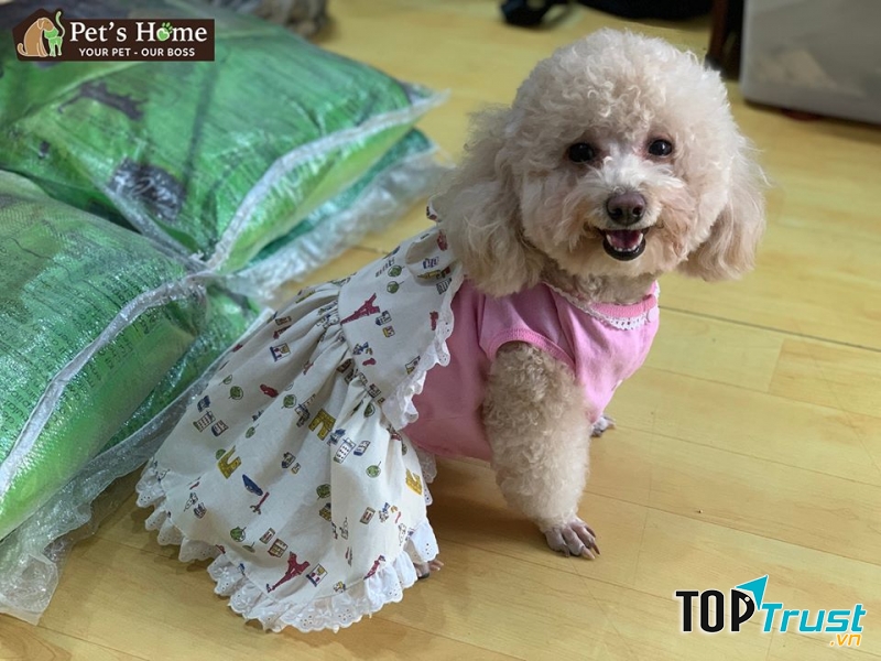 Tớ đi dự tiệc đây!