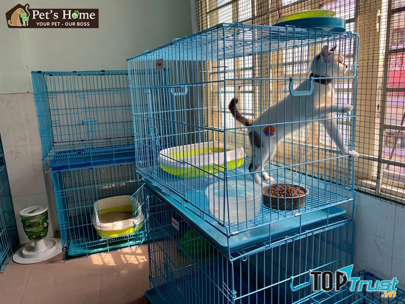 Chuồng cho mèo cưng