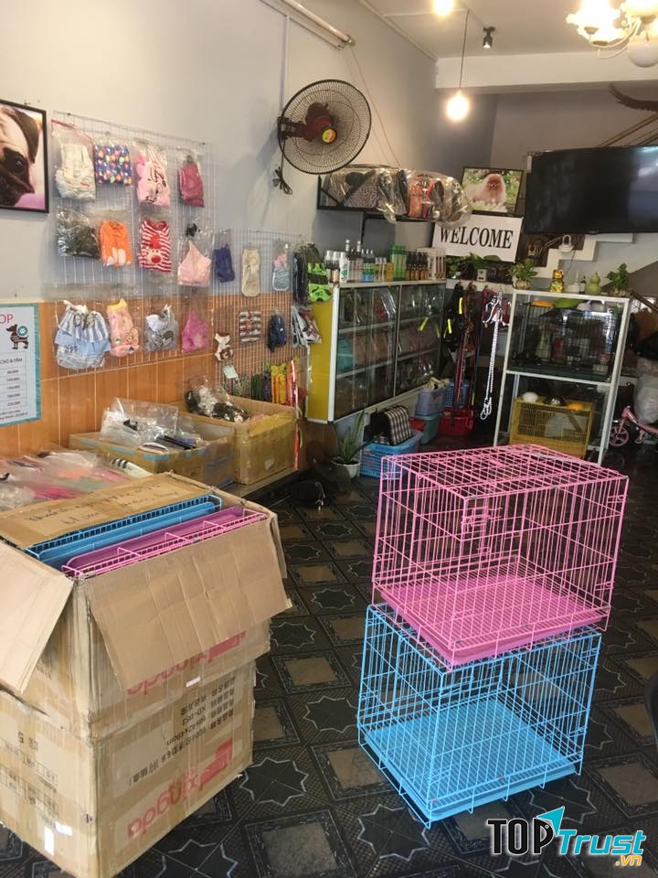 PETS QUY NHON SHOP