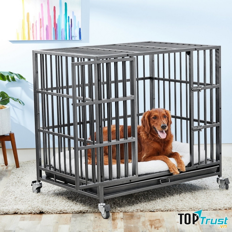 Chắc chắn, đẹp, dễ di chuyển