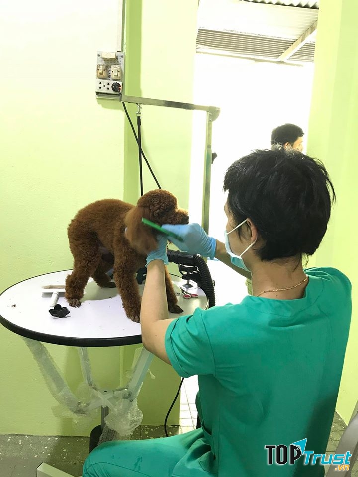 Petshop Võ Tuấn
