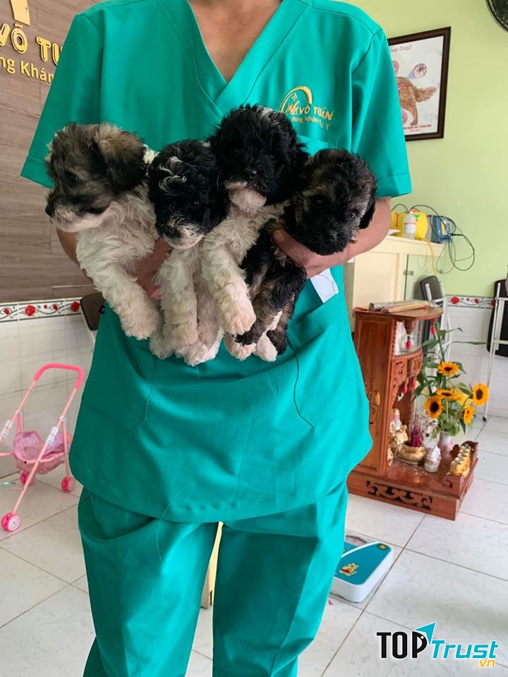 Petshop Võ Tuấn