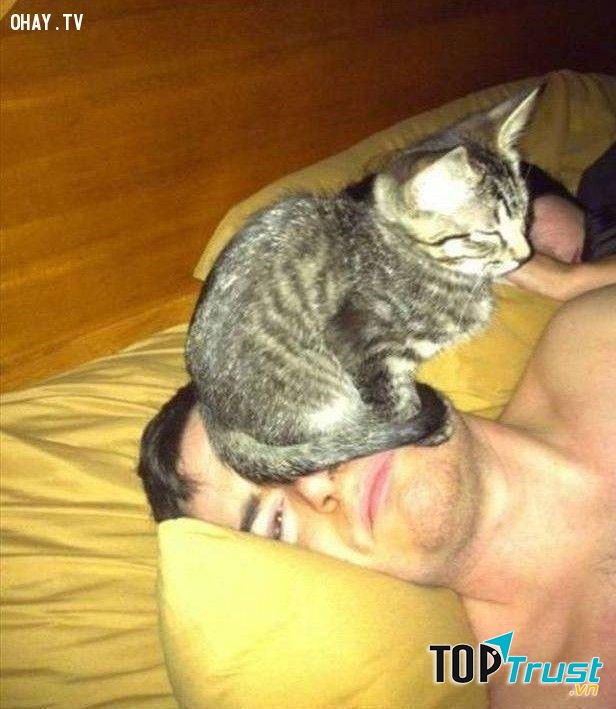 Phá hoại những giây phút thư giãn của bạn