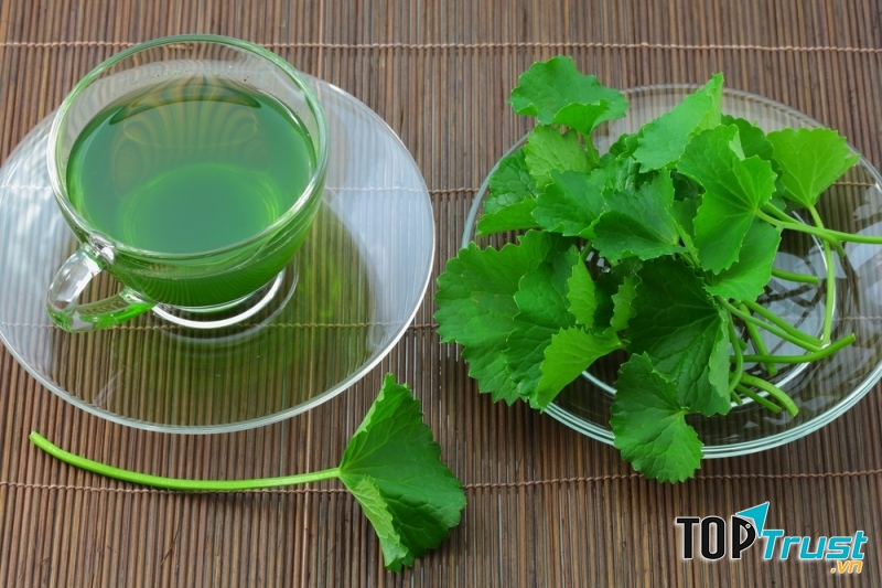 Rau má gây dị tật thai nhi, hoại tử tử cung