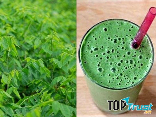 Phá thai bằng rau ngót hoàn toàn phản khoa học