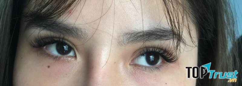 Phạm Minh Nối Mi