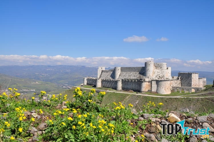 Pháo đài Crac des Chevaliers, Syria