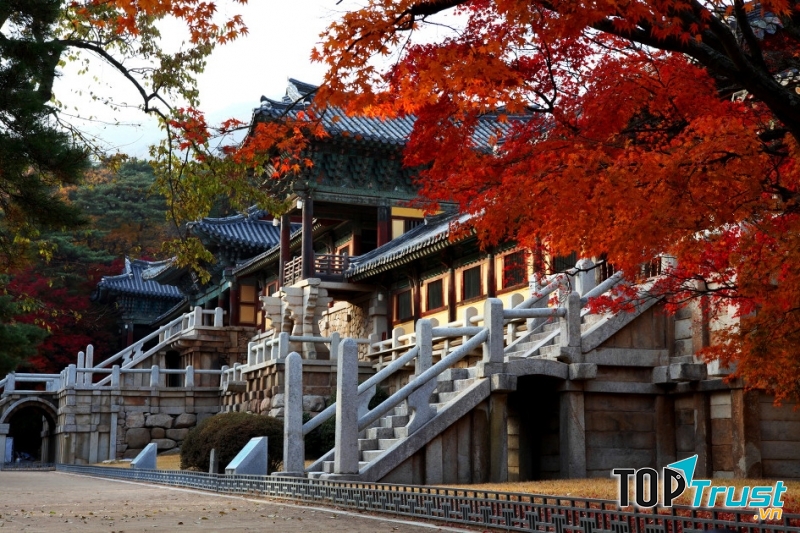 Công trình chùa Phật Giáo lớn nhất Hàn Quốc.