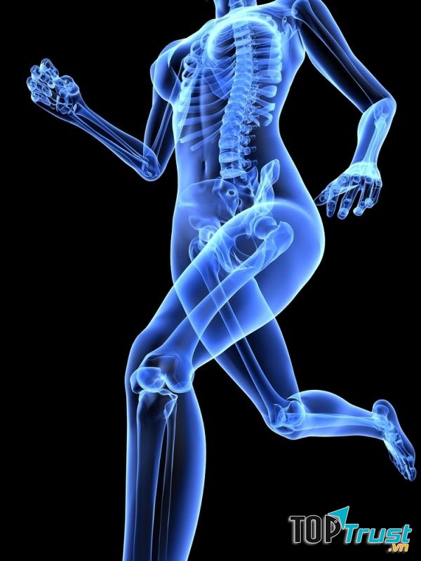 Phát triển xương