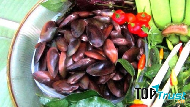 Phi Cầu Sài