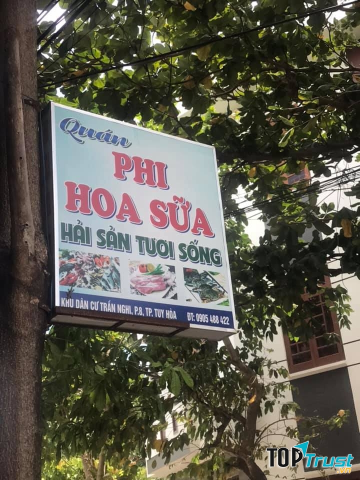 Phi Hoa Sữa