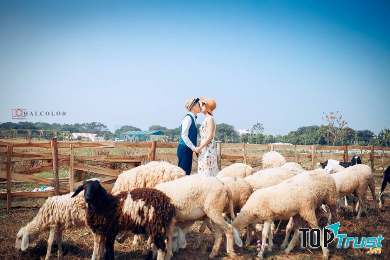 Phim trường Thảo Nguyên Hoa Long Biên