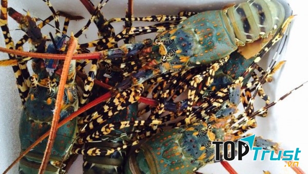 Những chú tôm hùm béo ngậy. Dưới bàn tay tài hoa của các bác đầu bếp mến khách chắc chắn bạn sẽ hài lòng.