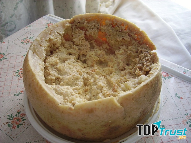 Pho mát giòi – Ý