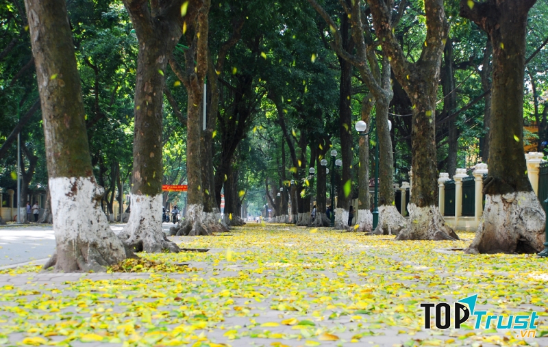 Phố Phan Đình Phùng