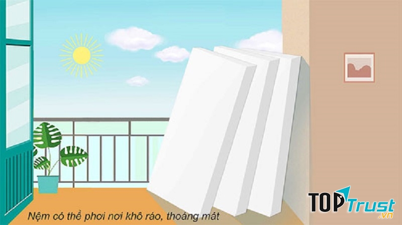 Phơi nệm nơi có ánh sáng mặt trời nhưng không phơi trực tiếp