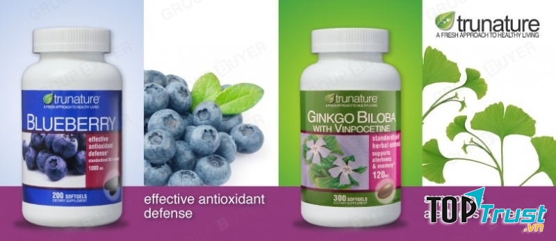 Phòng bệnh Alzheimer bằng thuốc hiệu quả