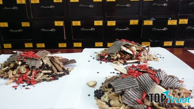 Phòng khám chuẩn trị y học cổ truyền Bắc Việt