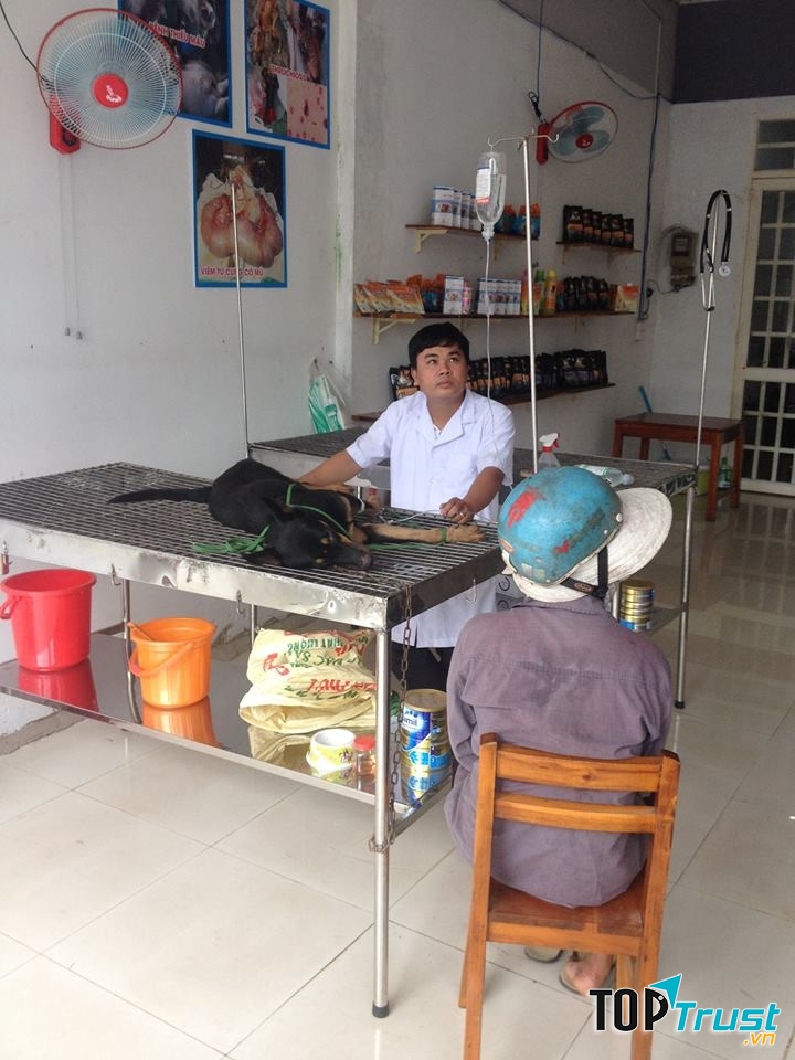 Phòng khám đa khoa thú y One Vet