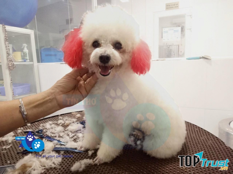 Phòng khám đa khoa thú y Tín Thơ