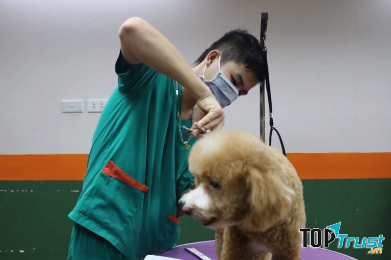 Phòng khám đa khoa thú y Tuấn Ngọc