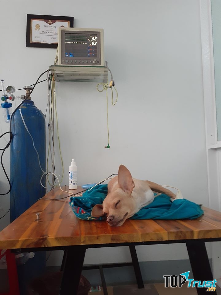Phòng Khám Pet Health