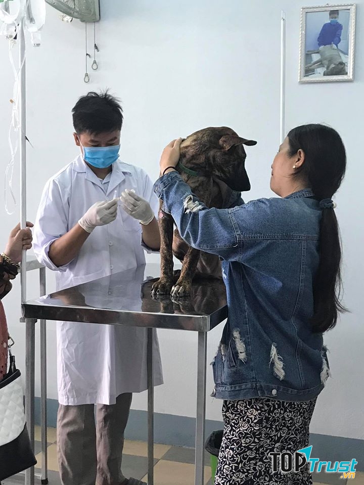 Phòng Khám Pet Health