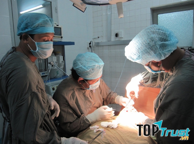 Phòng khám Răng hàm mặt - BS. PHẠM TÂN HOÀNG VIỆT