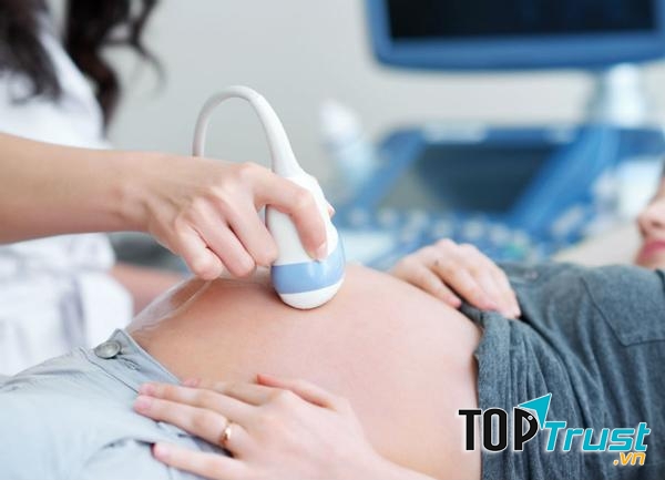 Ảnh minh họa - Nguồn Internet