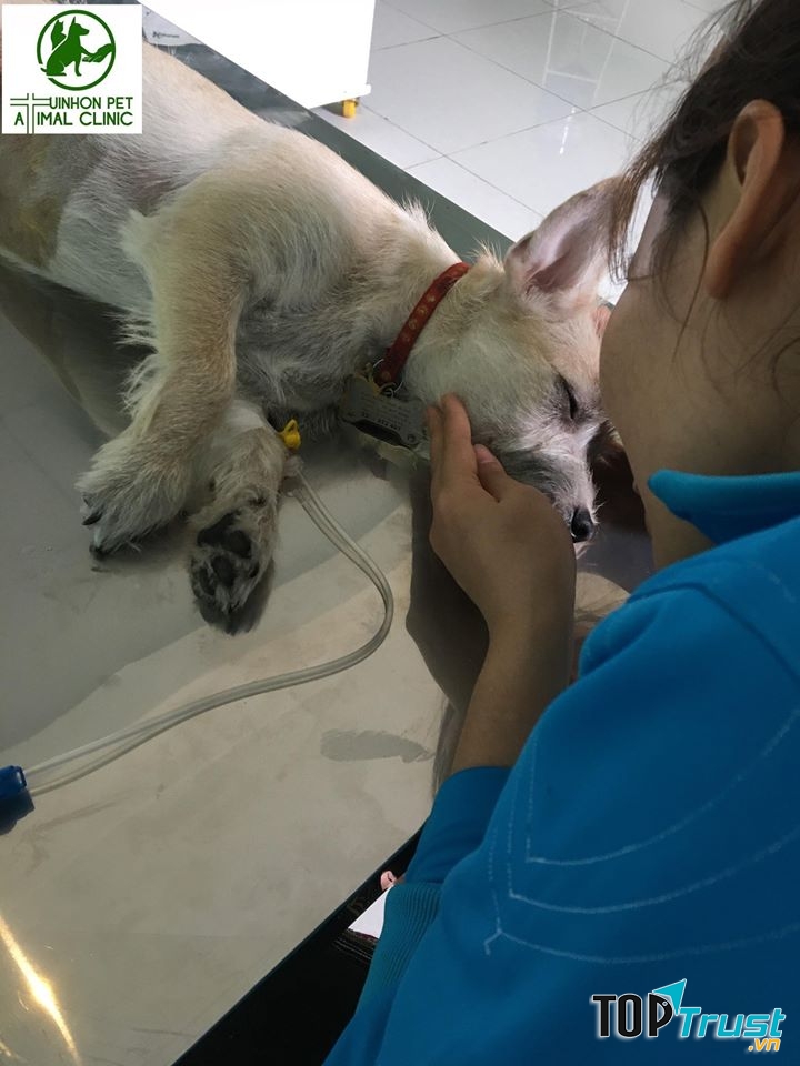 Phòng khám thú cưng Tispet