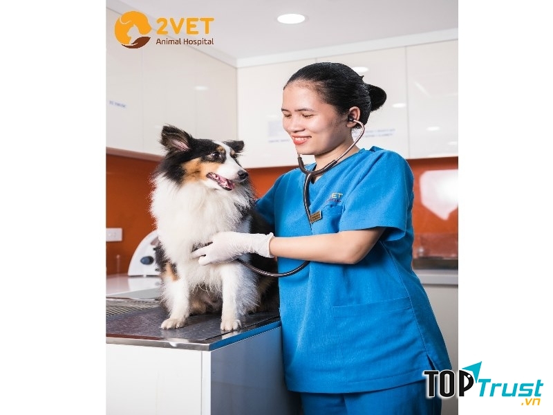 Phòng Khám Thú Y 2Vet