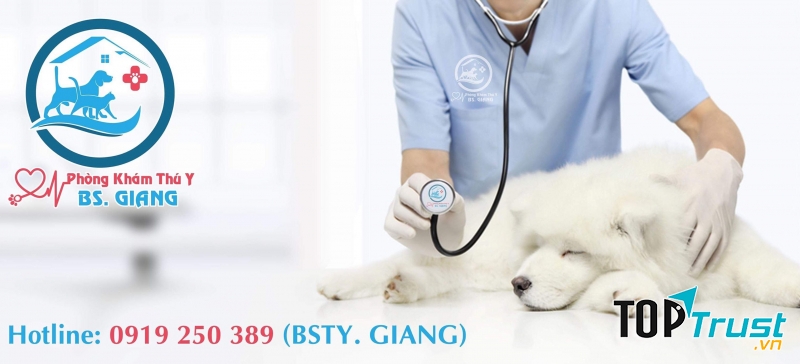 Phòng Khám Thú Y Bs.Giang