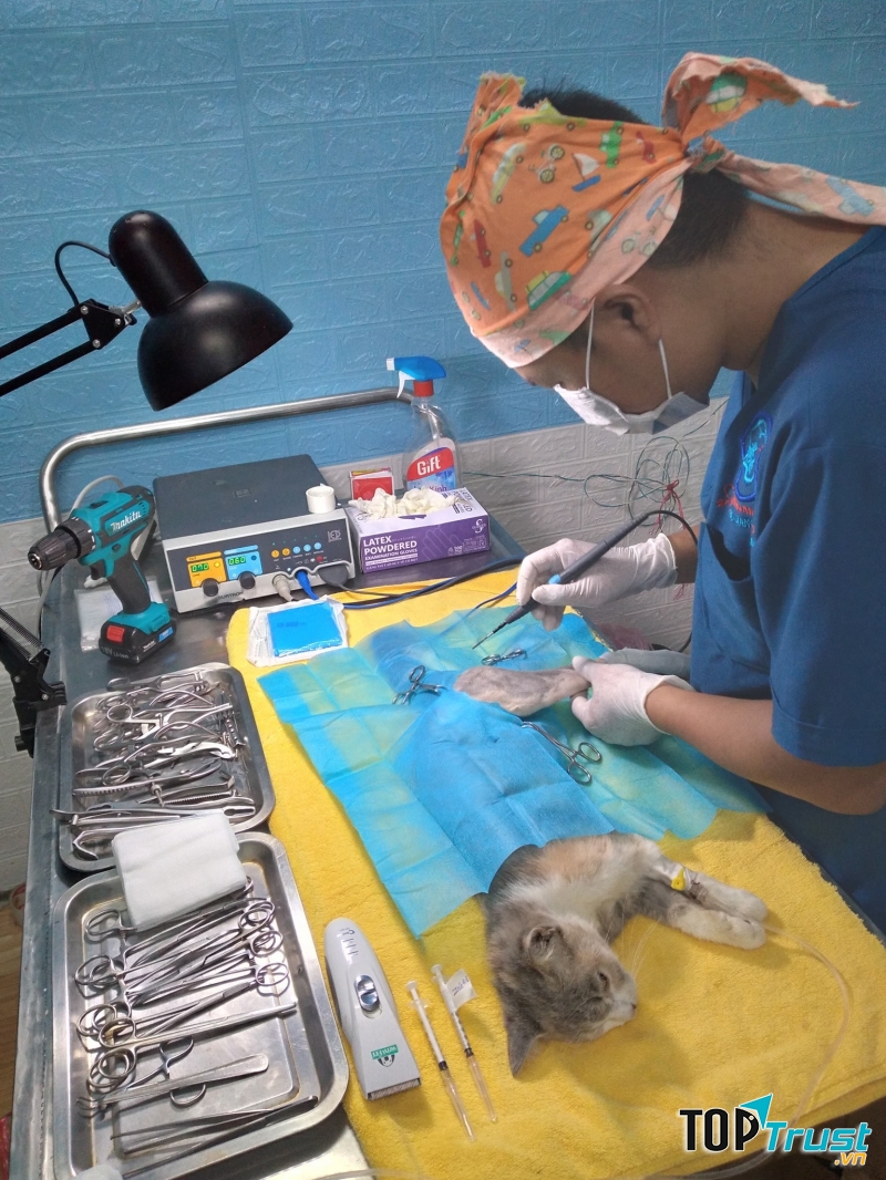 Phòng Khám Thú Y Bs.Giang