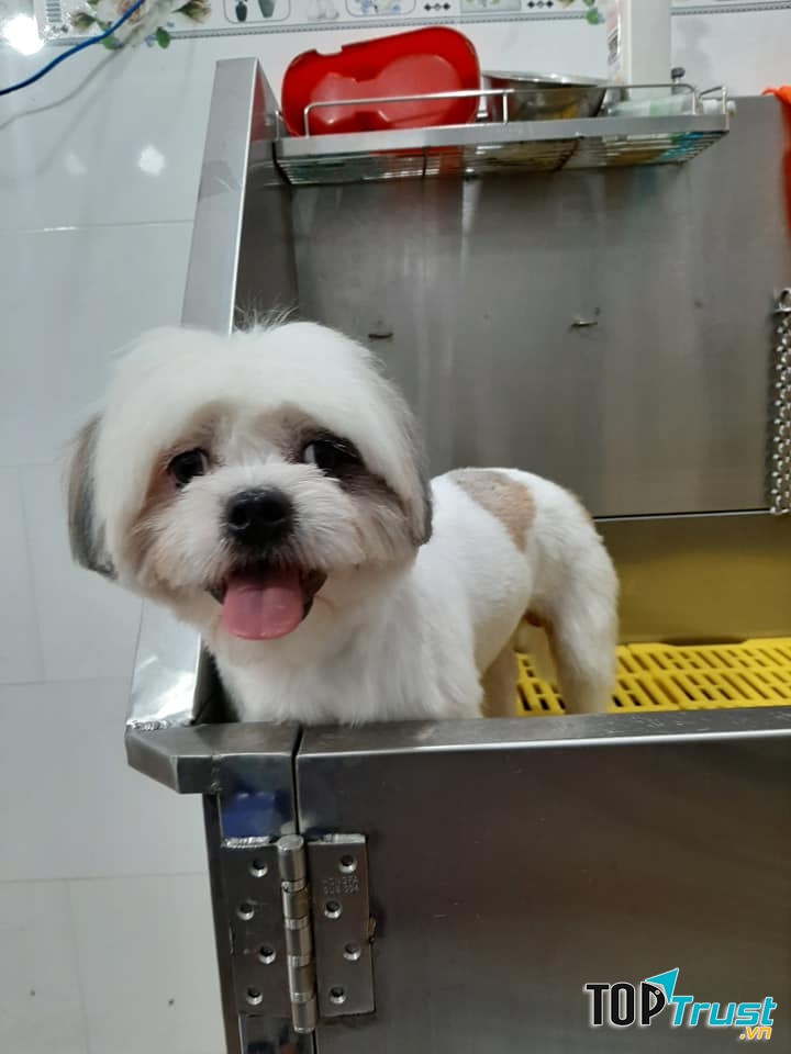 Tớ vừa làm đẹp xong đấy!