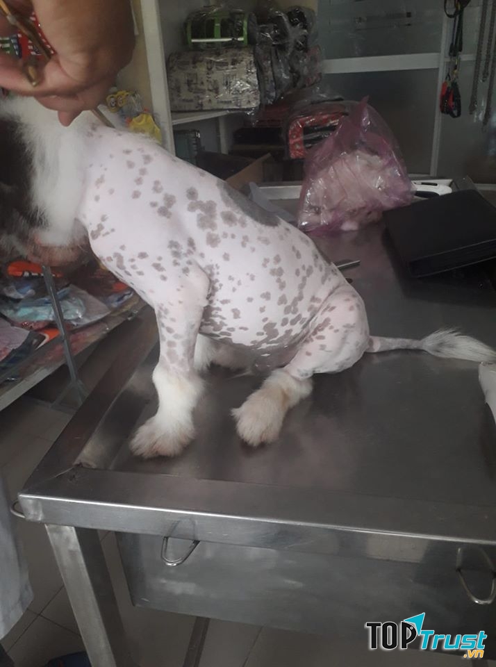 Haiza, này thì bao đốm luôn!