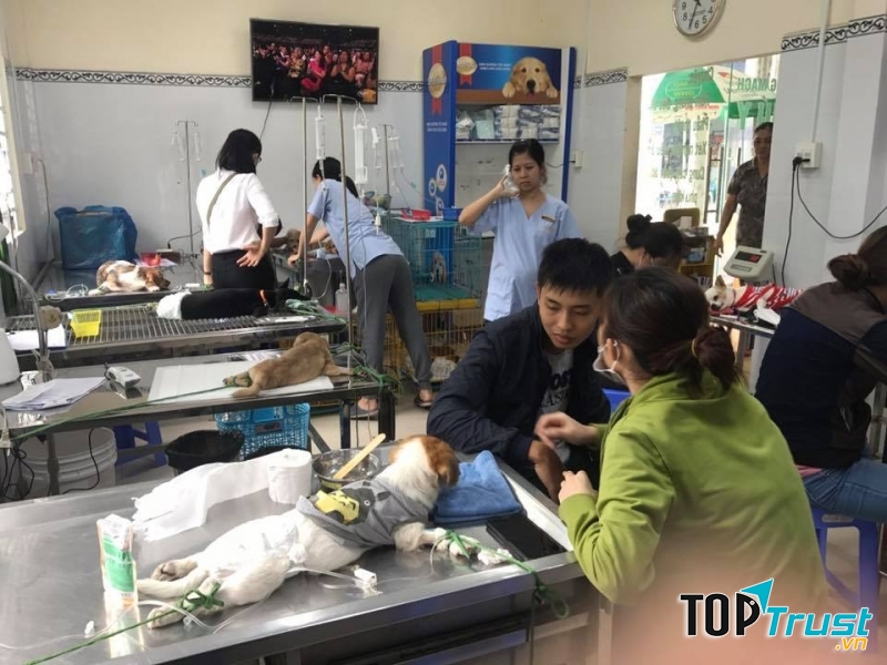 Phòng khám thú y PET CARE CẦN THƠ