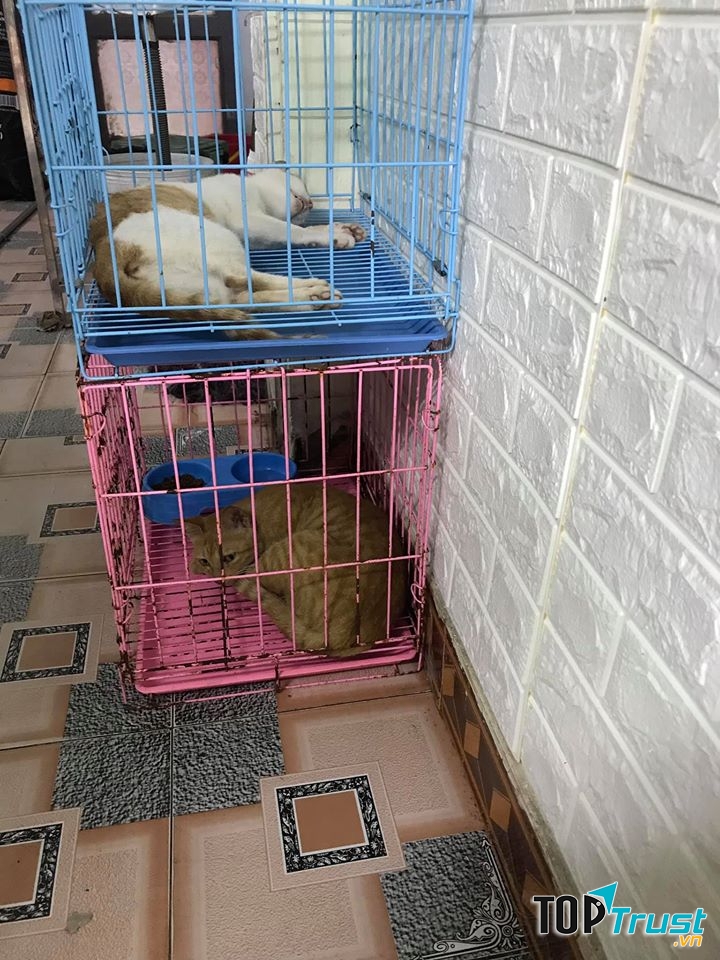 PHÒNG KHÁM THÚ Y PET’S LIFE Ninh Bình