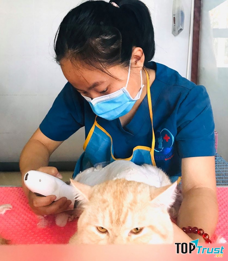 Tớ còn đang bận làm đẹp nhé
