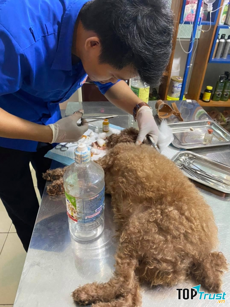 Phòng khám thú y_Titi Pet Shop