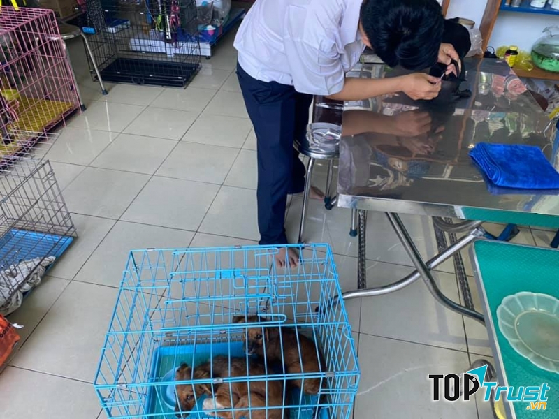 Phòng khám thú y_Titi Pet Shop