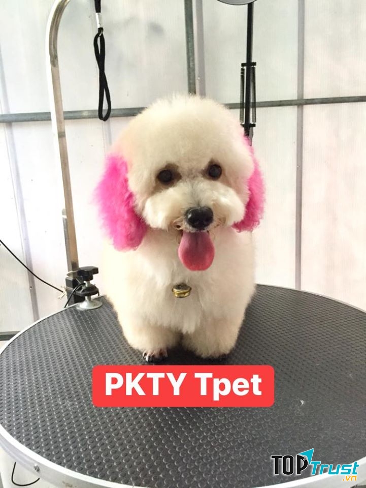 Phòng khám thú y TPET