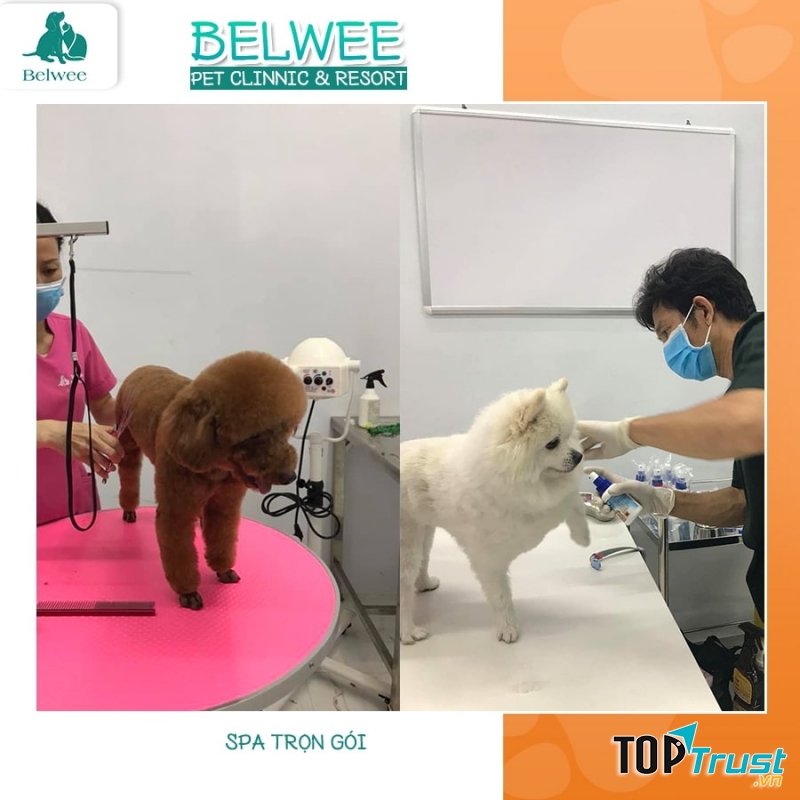 Phòng khám và Chăm sóc thú cưng Belwee