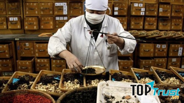 Trị rụng tóc bằng thảo dược mang lại nhiều hiệu quả bất ngờ