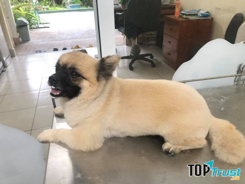 Phòng mạch thú y Petplus