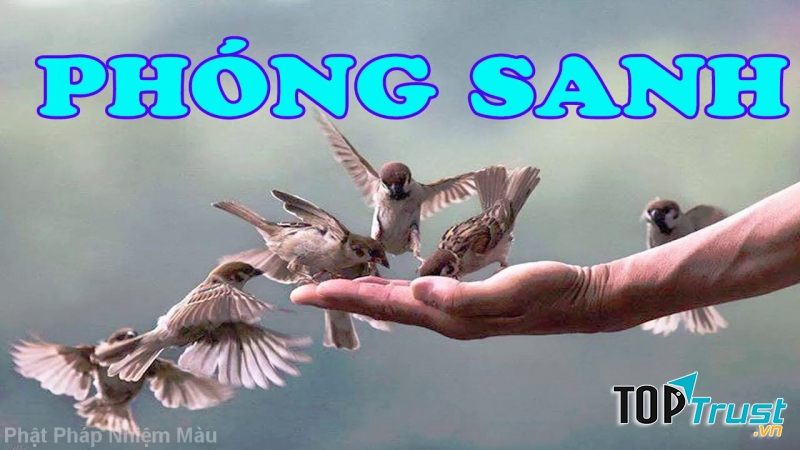 Phóng sinh tức là kết duyên lành với chúng sanh. Thấy vật sắp bị giết, bị bắt thì thả mới là phóng sinh chân chính